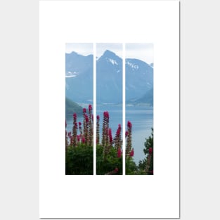 Wonderful landscapes in Norway. Vestland. Beautiful scenery of Romsdal Fjord from the Torvikeidet village. Nice flower composition in foreground. Snowed mountains Summer cloudy day (vertical) Posters and Art